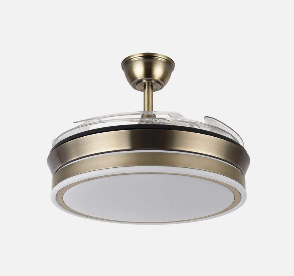 BAYOMO CUERO 91D.jpg2.jpg