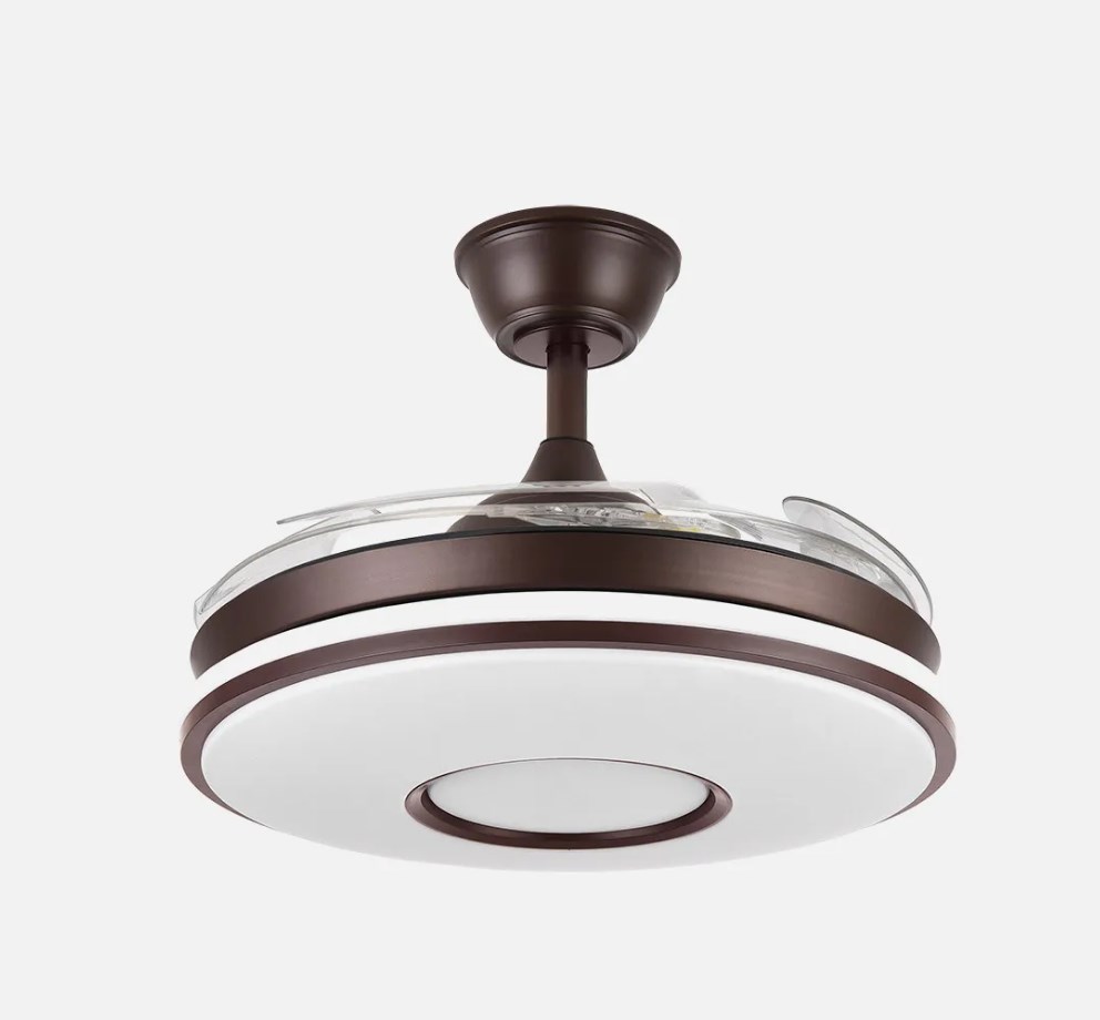 DANI MARRON 107D.jpg2.jpg